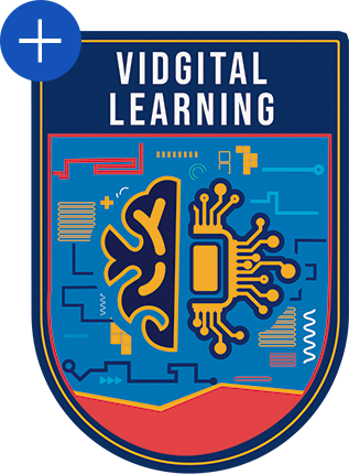 vidgital